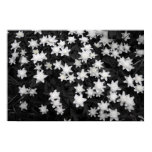 Black and White Meadows Poster