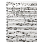 Black and white musical notes journal