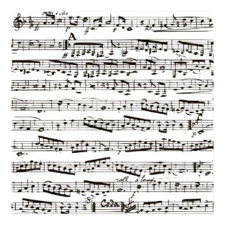 Black and white musical notes posters