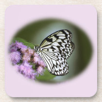 Black and White Nymph Butterfly Coasters
