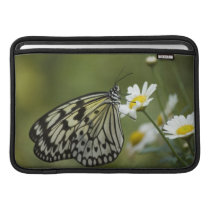 Black and White Nymph Butterfly MacBook Air Sleeves