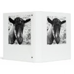 Black and white Oberhasli doe goat head view 3 Ring Binder
