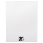 Black and white Oberhasli doe goat head view Customized Letterhead