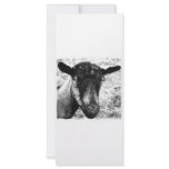 Black and white Oberhasli doe goat head view Custom Rack Card