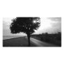 Black and White Ocean Side Tree and Road Customized Photo Card