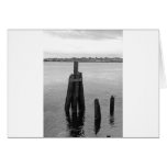 Black and White on the River Card