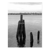 Black and White on the River Post Card