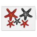 Black and white, orange and red starfish card
