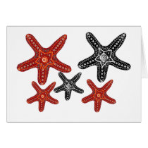 Black and white, orange and red starfish card