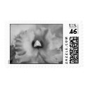 black and white orchid postage