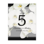 Black and White Orchid Wedding Table Number Post Card