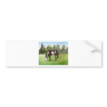 Black and White Paint horse/pony grazing in field Bumper Stickers