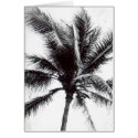 Black and White Palm Tree Card by quetzal323 Black and White Palm Tree Card