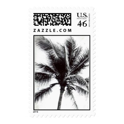 black and white palm tree postage stamp by quetzal323