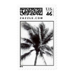 black and white palm tree postage stamp