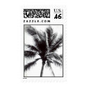 black and white palm tree postage