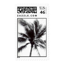 black and white palm tree postage by quetzal323 black and white palm tree postage