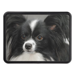 Black and White Papillon Hitch Cover