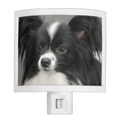 Black and White Papillon Night Lites