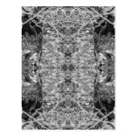 Black and White Pattern. Trees and Stone. Postcards