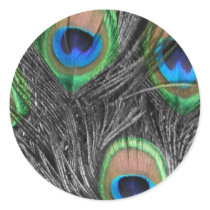 Black and White Peacock Feather Sticker