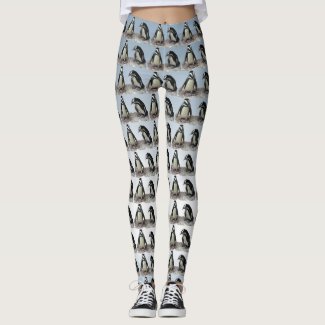 Black and White Penguin Birds on Blue Leggings