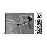 Black and white penguin stamp