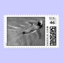 Black and white penguin stamp