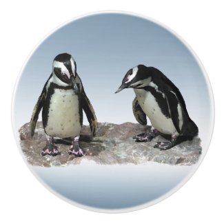 Black and White Penguins Ceramic Knob