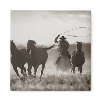 Black and White photo of a Cowboy Lassoing Horses Refrigerator Magnet