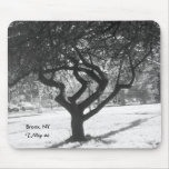 Black and White Photo: Tree in Bronx NY Mousepad