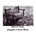 Black and White, photographs by Sabri... calendar