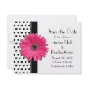 Black and White Polka Dot Pink Gerbera Daisy Save the Date Announcement