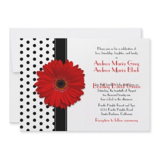 Black and White Polka Dot Wedding Invitation invitation