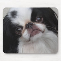 Black and white pooch mouse pad