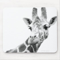Black and white portrait of a giraffe mouse pad