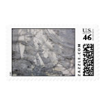 Black and White Postage Stamps
