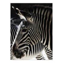 black and white posters