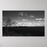 Black and White Print