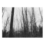 Black and white posters