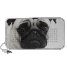 Pug Speakers