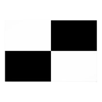 Black and White Rectangles posters