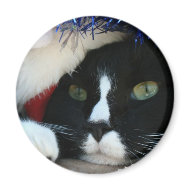 Black and White resigned cat santa hat blue tinsel magnet