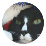Black and White resigned cat santa hat blue tinsel sticker