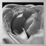 Black and White Rose: Block 3 Print