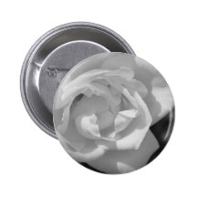Black and White Rose Button