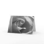 Black-and-White-Rose cards