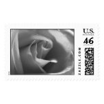 Black and White Rose Postage