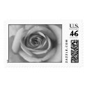 black and white rose postage