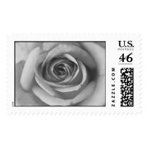black and white rose postage